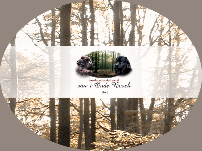 Klik hier om naar binnen te gaan